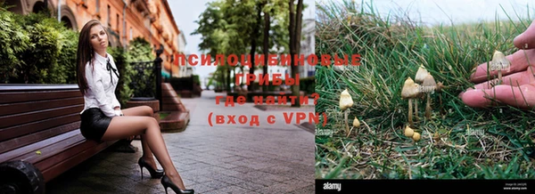 соль курить ск Аркадак