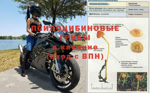 соль курить ск Аркадак