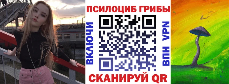 купить   Козьмодемьянск  Псилоцибиновые грибы Magic Shrooms 